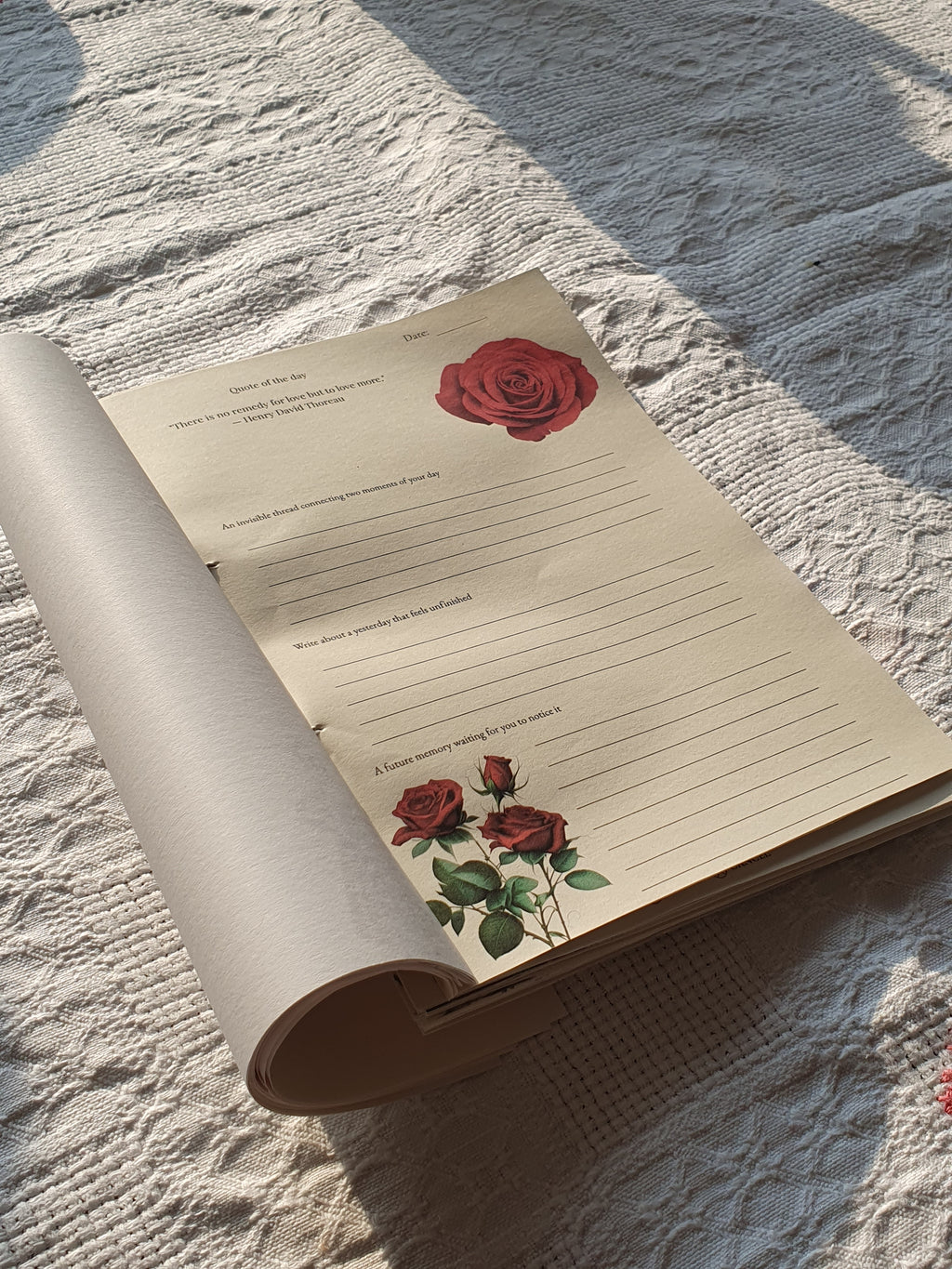 The Journal for Old Souls