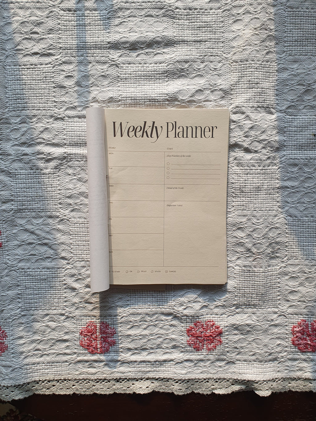 The Journal for Old Souls